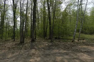 672Xx E Deep Lake Rd, Iron River, WI 54847 - Photo 4