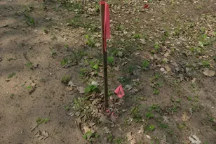 672Xx E Deep Lake Rd, Iron River, WI 54847 - Photo 2