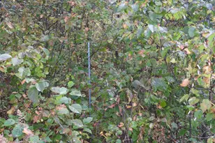 1765 E Wilderness Ct, Barnes, WI 54873 - Photo 6