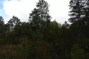 1765 E Wilderness Ct, Barnes, WI 54873 - Photo 2