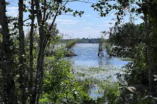 296 Shady Ln, Ely, MN 55731 - Photo 26