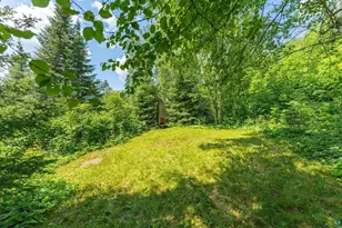 296 Shady Ln, Ely, MN 55731 - Photo 22