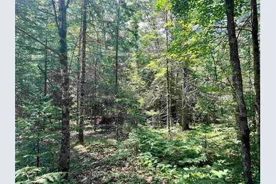 Xxx Chippewa Tr, Exeland, WI 54867 - Photo 2