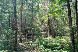 Xxx Chippewa Trail, Exeland, WI 54867 - Photo 2