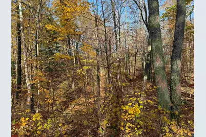 Lot 17 & 18 Sleepy Fawn Ln, Delta, WI 54847 - Photo 6