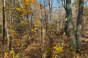 Lot 17 & 18 Sleepy Fawn Ln, Delta, WI 54847 - Photo 6