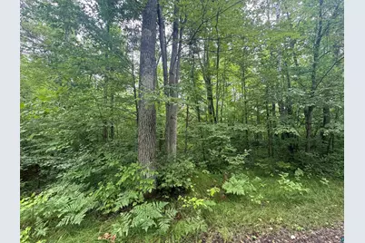 Lot 17 & 18 Sleepy Fawn Ln, Delta, WI 54847 - Photo 4