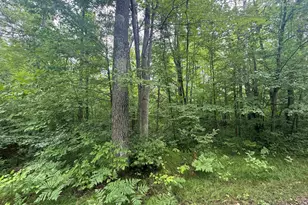 Lot 17 & 18 Sleepy Fawn Ln, Delta, WI 54847 - Photo 4