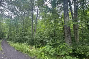 Lot 17 & 18 Sleepy Fawn Ln, Delta, WI 54847 - Photo 2