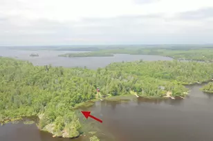 Lot 10 Pine Narrows, Tower, MN 55790 - Photo 1