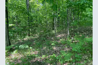 Lot 7 Secluded Trail, Hayward, WI 54843 - Photo 40