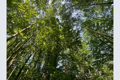 Lot 7 Secluded Trail, Hayward, WI 54843 - Photo 22