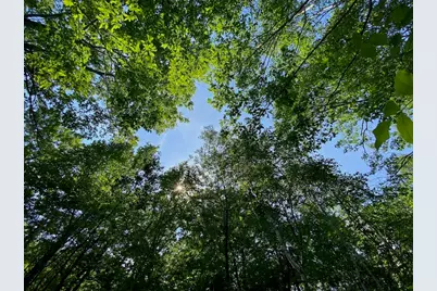 Lot 7 Secluded Trail, Hayward, WI 54843 - Photo 34