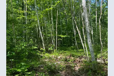 Lot 7 Secluded Trail, Hayward, WI 54843 - Photo 10