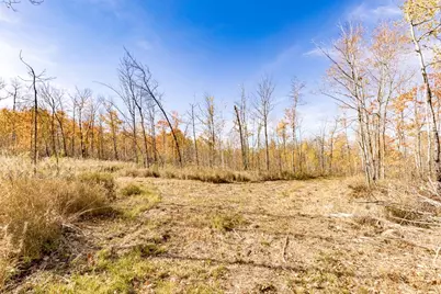 Xxx Amity Drive, Duluth, MN 55803 - Photo 32