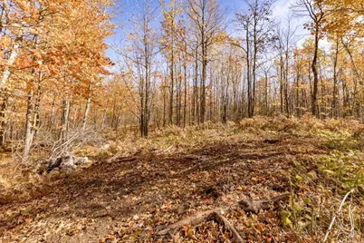 Xxx Amity Drive, Duluth, MN 55803 - Photo 30