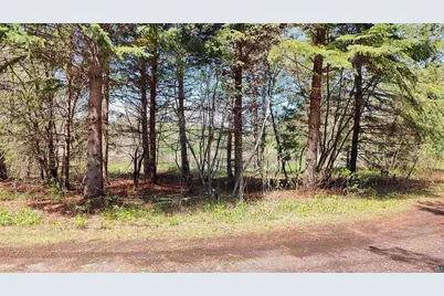 80086 Waters Of Vermilion Rd, Tower, MN 55790 - Photo 16