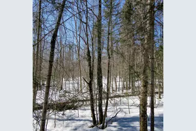 Xxx County Hwy 8, Finland, MN 55603 - Photo 4