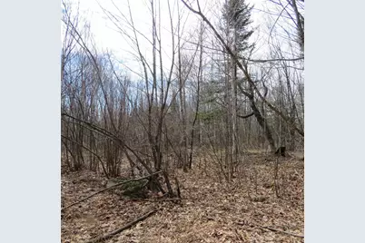 Xxx County Hwy 8, Finland, MN 55603 - Photo 36