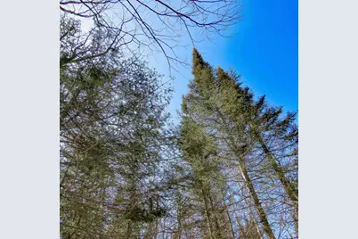 Xxx County Hwy 8, Finland, MN 55603 - Photo 28