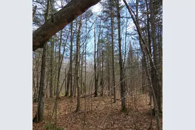 Xxx County Hwy 8, Finland, MN 55603 - Photo 48