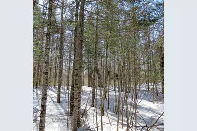 Xxx County Hwy 8, Finland, MN 55603 - Photo 18