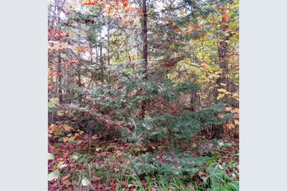 Xxx County Hwy 8, Finland, MN 55603 - Photo 26