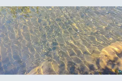 80048 Waters Of Vermilion Rd, Tower, MN 55790 - Photo 30