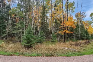 Lot 1 Block 1 Raspberry Trail, La Pointe, WI 54850 - Photo 1