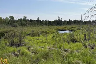 3X Skye Ridge, Grand Marais, MN 55604 - Photo 6