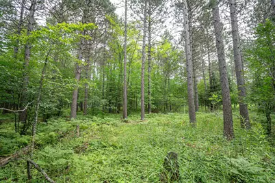 51Xx Lindahl Rd, Duluth, MN 55811 - Photo 4