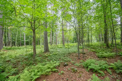 51Xx Lindahl Rd, Duluth, MN 55811 - Photo 6
