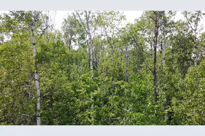 39Xx S County Rd O, Maple, WI 54820 - Photo 6