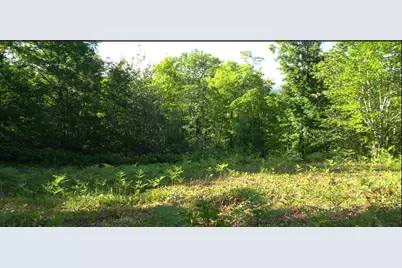 83Xxx Ashwabay Heights Rd, Bayfield, WI 54814 - Photo 2