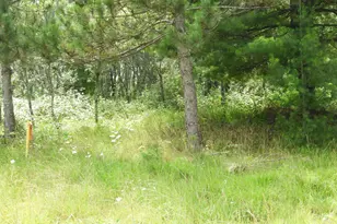 Xxxx Moon Dr, Iron River, WI 54847 - Photo 6