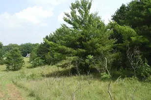 Xxxx Moon Dr, Iron River, WI 54847 - Photo 4