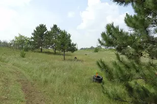 Xxxx Moon Dr, Iron River, WI 54847 - Photo 2