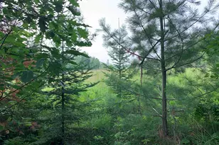 3277 Hwy 210, Sawyer, MN 55720 - Photo 38