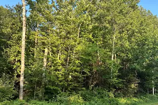56Xx S County Rd P, Poplar, WI 54864 - Photo 1