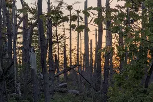 9 58 Acres On Peterson Hill Rd, Bayfield, WI 54814 - Photo 1