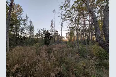 9.58 Acres On Peterson Hill Rd, Bayfield, WI 54814 - Photo 2