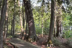 16 Carlson Rd, Grand Marais, MN 55604 - Photo 44