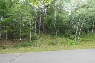 Xxxx Norway Rd, Iron River, WI 54847 - Photo 8