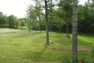 Xxxx Norway Rd, Iron River, WI 54847 - Photo 14