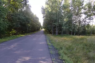 7581 S Marsik Rd, Lake Nebagamon, WI 54849 - Photo 2
