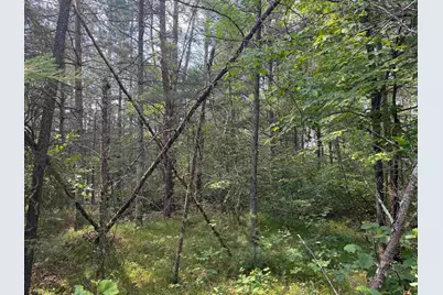 18.8 Acres On State Hwy 27, Hayward, WI 54843 - Photo 34