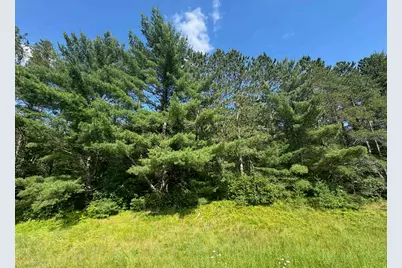 18.8 Acres On State Hwy 27, Hayward, WI 54843 - Photo 26