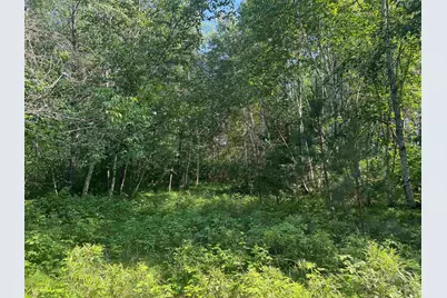 18.8 Acres On State Hwy 27, Hayward, WI 54843 - Photo 44