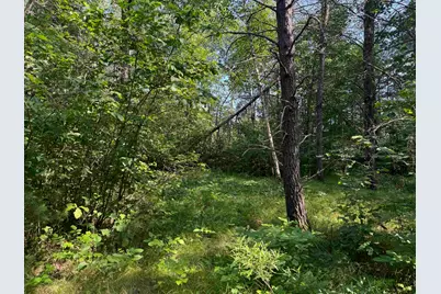 18.8 Acres On State Hwy 27, Hayward, WI 54843 - Photo 48