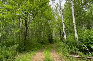 1454 Town Line Rd, Brimson, MN 55602 - Photo 26